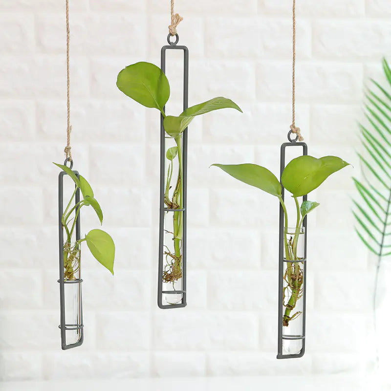 Three hanging planters with green plants on a light background