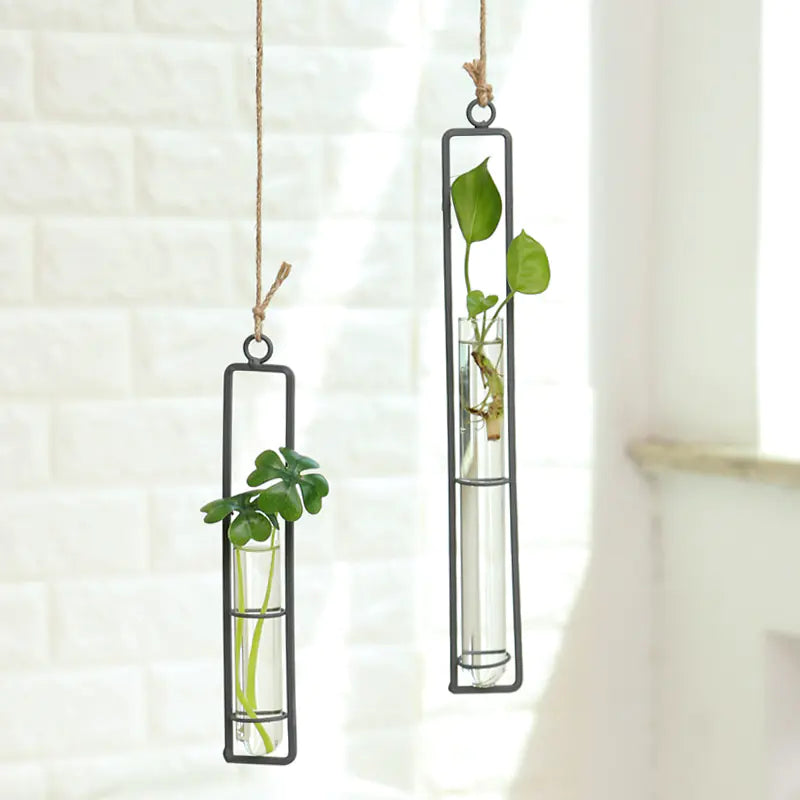 Modern black iron and glass wall mounted hydroponic planter with decorative hanger displaying green plants in contemporary home interior