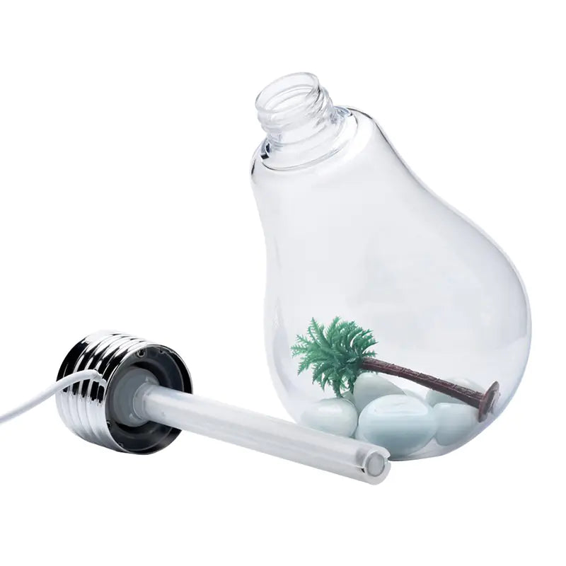 Light bulb shaped terrarium with palm tree and rocks on a white background