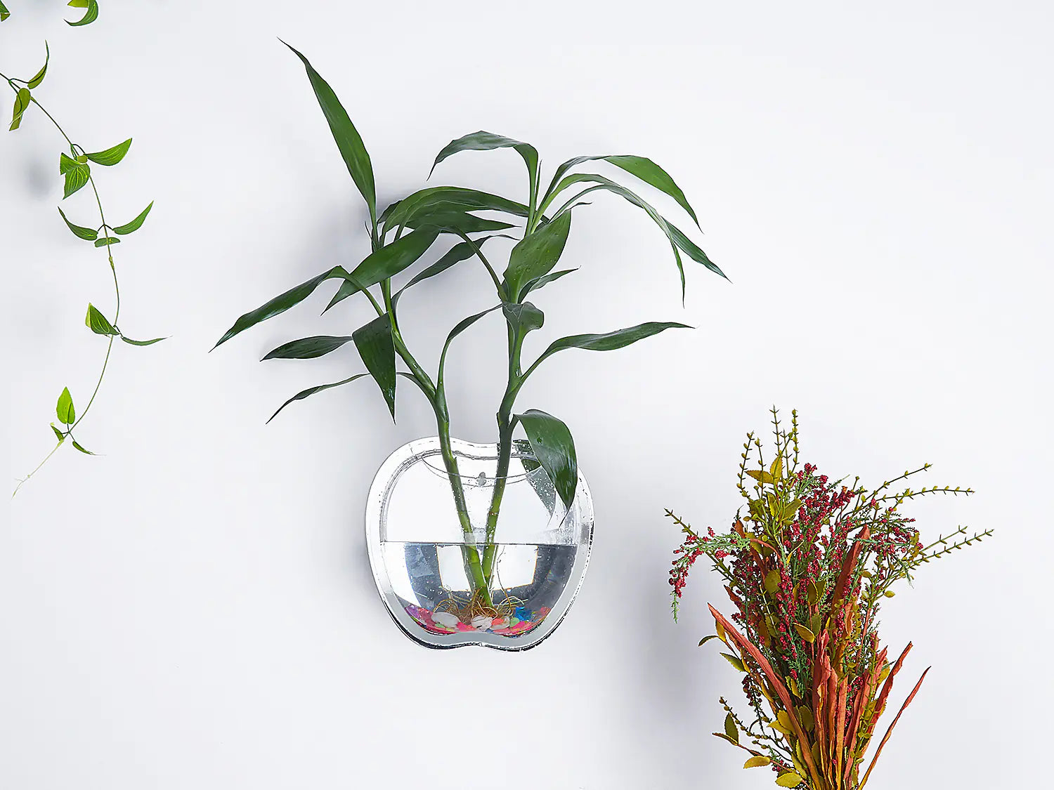 Modern wall planter 21x23cm in contemporary design for hanging plants with a plant on a white wall