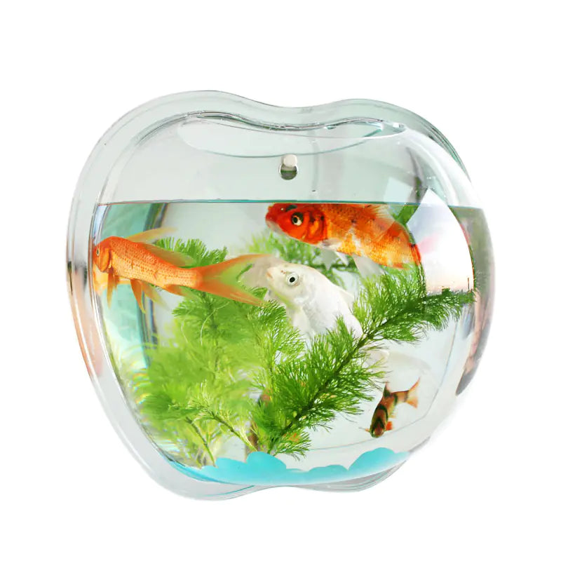 Modern wall planter 21x23cm in contemporary design with goldfish and green plants on a white background