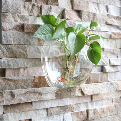 Modern wall planter 21x23cm in contemporary design with plant and goldfish against a stone wall background