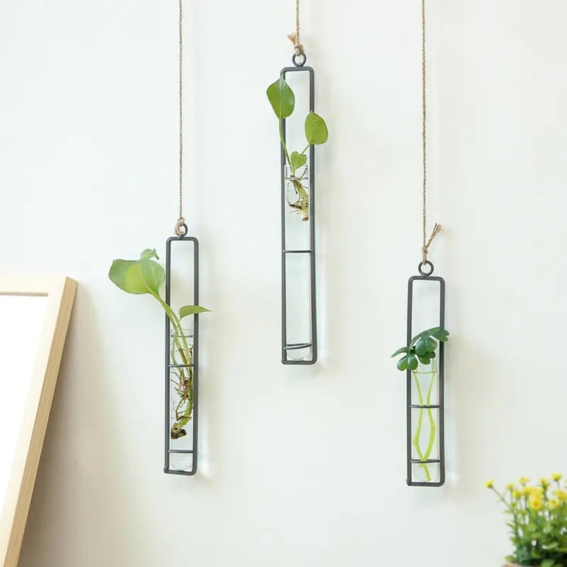 Three modern black iron and glass wall mounted hydroponic planter with decorative hanger displaying green plants in contemporary home interior
