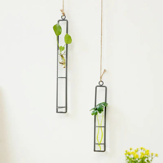 Modern black iron and glass wall mounted hydroponic planter with decorative hanger displaying green plants in contemporary home interior